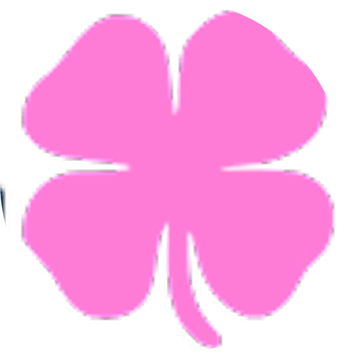 dukes-girls-lacrosse-clover